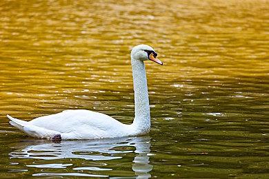 卡普空警告：在《怪物猎人：荒野》中作弊可能被封号