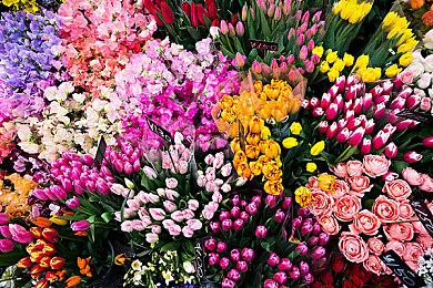 《SD高达 激斗同盟》公开DLC第1波内容及最新游戏情报！