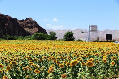 EA SPORTS™ 宣布《FIFA 23》推出 23 天即打破纪录